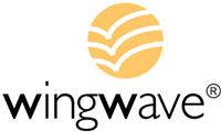 WingWave® coaching